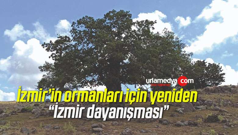 İzmir’in ormanları için yeniden “İzmir dayanışması”
