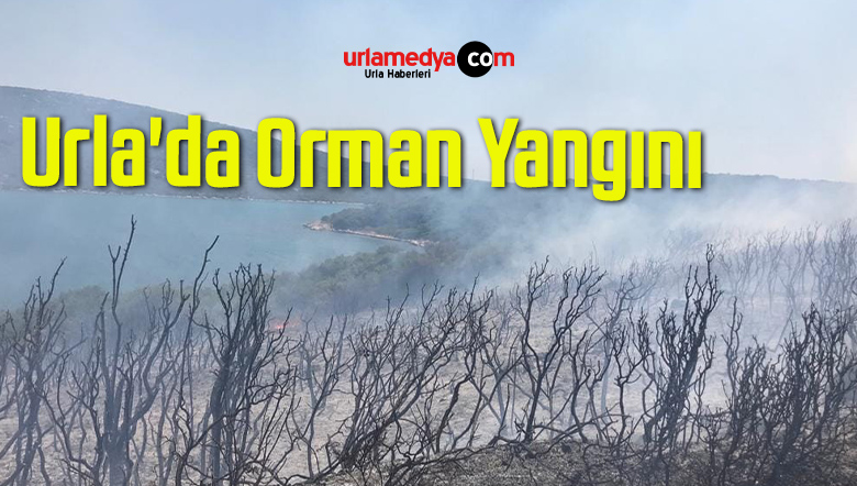 Urla’da Orman Yangını