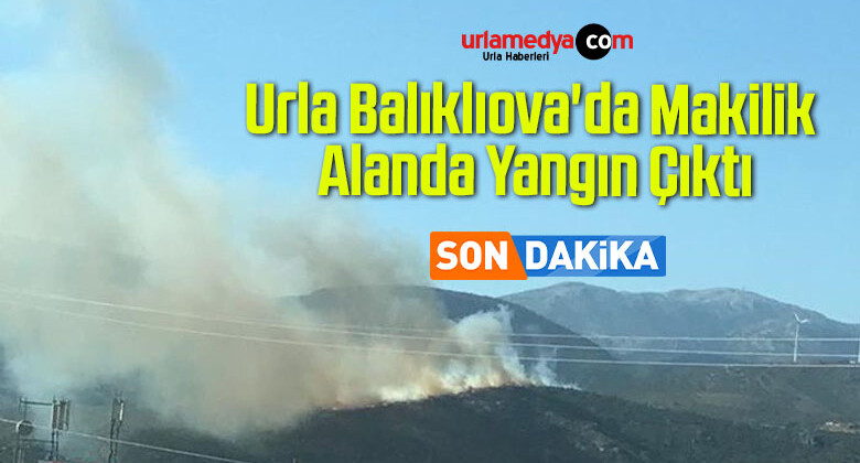 Urla Balıklıova’da Makilik Alanda Yangın Çıktı