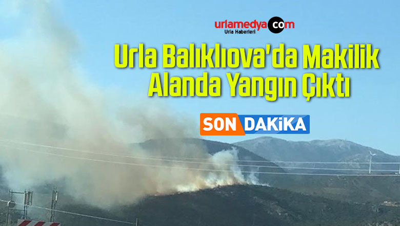 Urla Balıklıova’da Makilik Alanda Yangın Çıktı