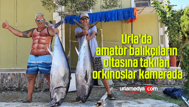 Urla’da amatör balıkçıların oltasına takılan orkinoslar kamerada