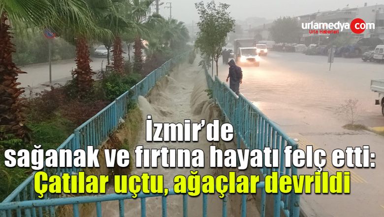 İzmir’de sağanak ve fırtına hayatı felç etti: Çatılar uçtu, ağaçlar devrildi