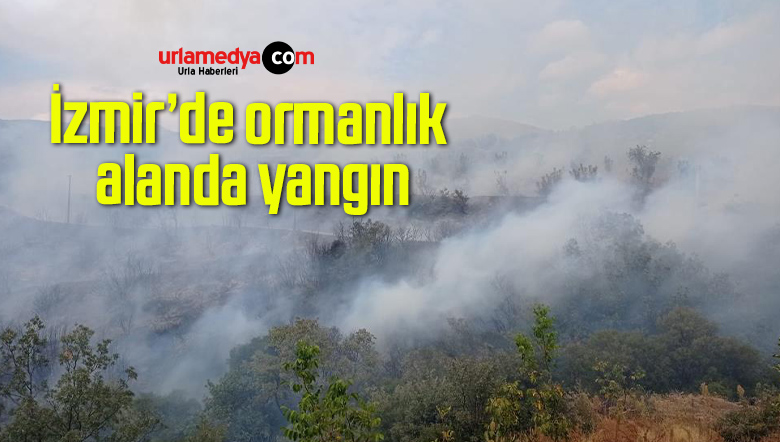 İzmir’de ormanlık alanda yangın