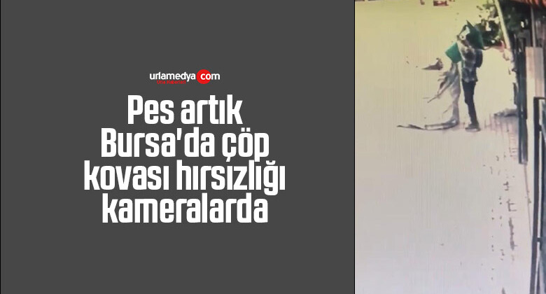 Pes artık…Bursa’da çöp kovası hırsızlığı kameralarda