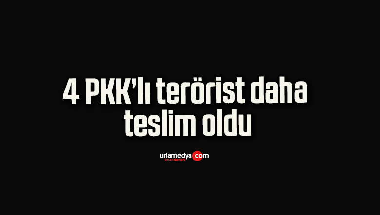 4 PKK’lı terörist daha teslim oldu