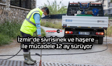 İzmir’de sivrisinek ve haşere ile mücadele 12 ay sürüyor