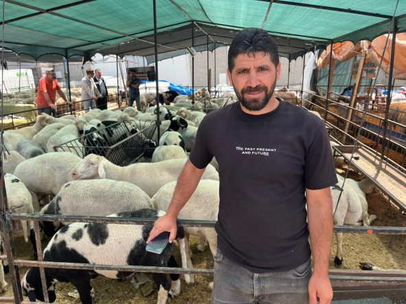 İZMİR KURBAN PAZARLARINDA SOSYAL MEDYA RÜZGARI VATANDAŞ PAZARI EKRANDAN GEZİYOR